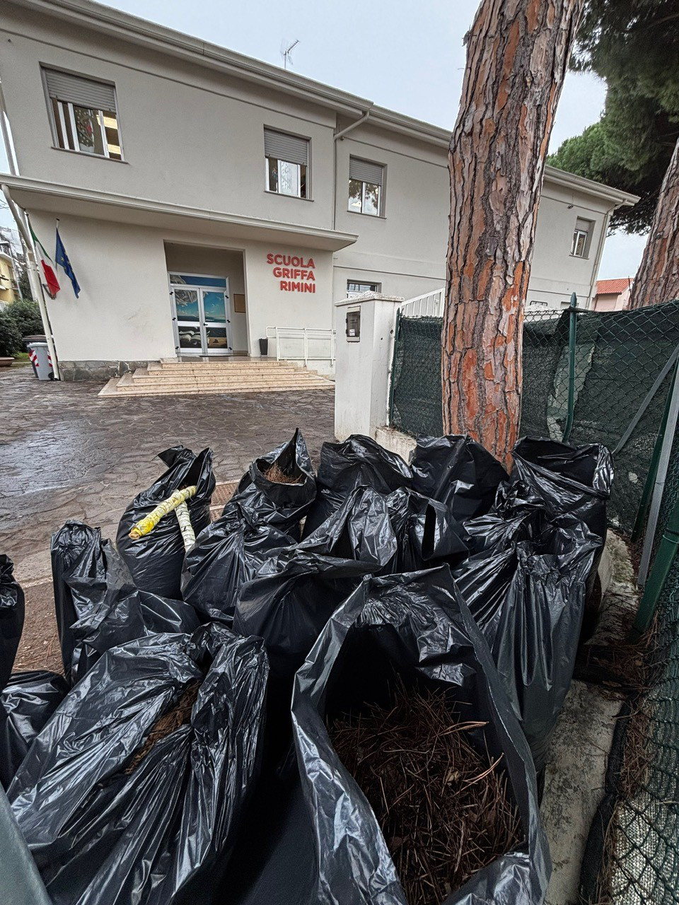Pulizia scuola primaria Griffa