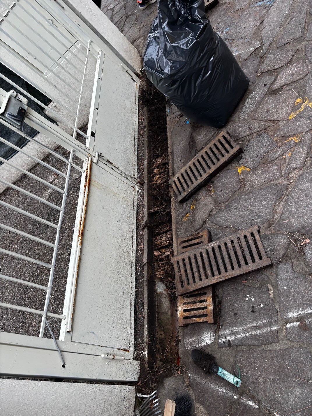 Pulizia scuola primaria Griffa